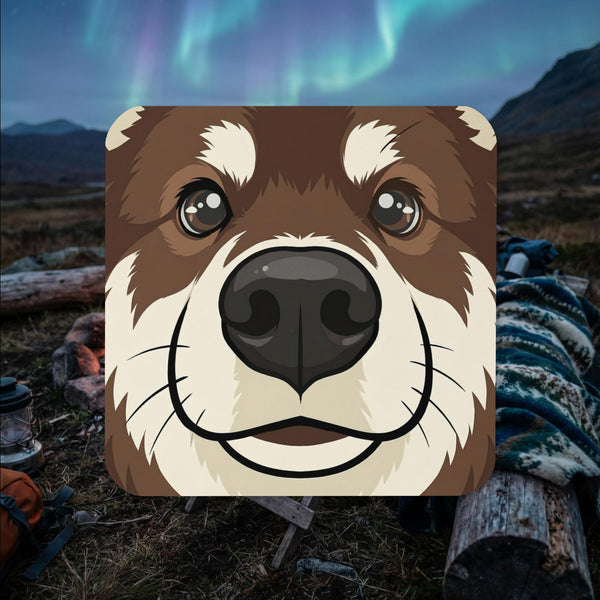 Brown and white Finnish Lapphund face illustrated cork-back coaster with warm close-up design