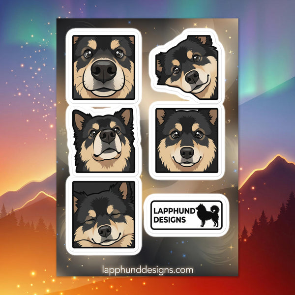 Finnish Lapphund close-up faces sticker sheet featuring expressive details, head tilts, and soft eye contact