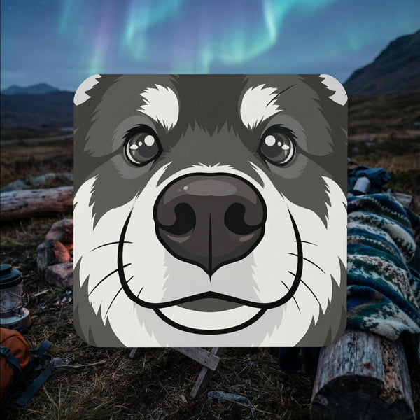 Wolf sable Finnish Lapphund face illustrated cork-back coaster with expressive close-up design