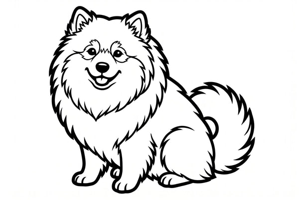 Free printable Finnish Lapphund colouring page, line-art of a fluffy smiling Lappy with a curled tail