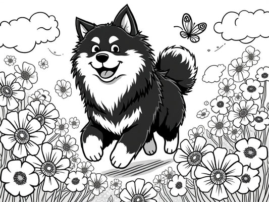 A cheerful black and white Finnish Lapphund joyfully running through a field of large, playful flowers with butterflies fluttering around, drawn in a simple, coloring book style.