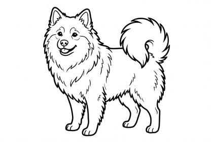 Colouring page: The full plume