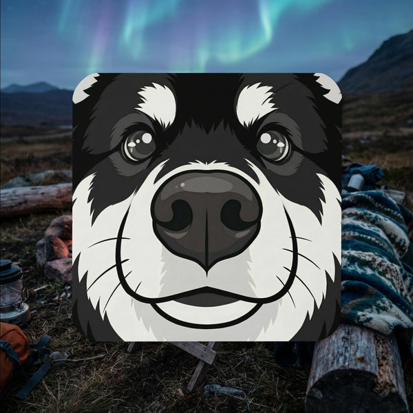 Black and white Finnish Lapphund face illustrated cork-back coaster with high-contrast close-up design