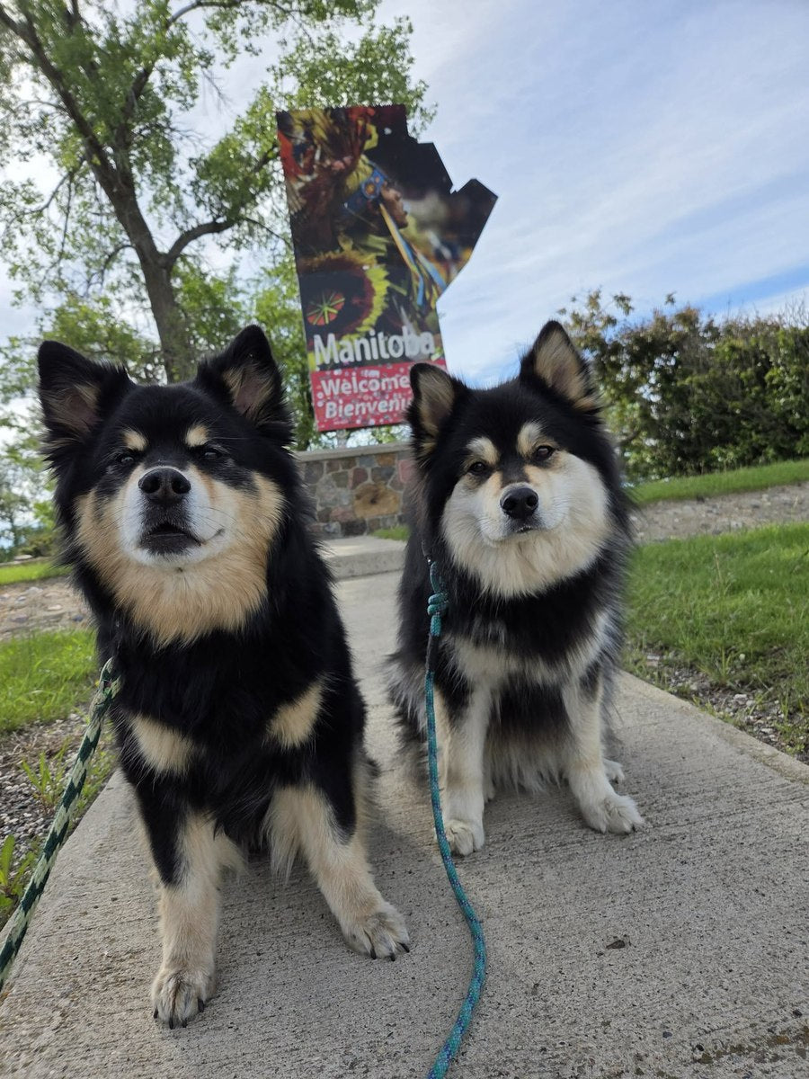 Timber and Tundra sitting on a path in front of a Welcome to Manitoba sign