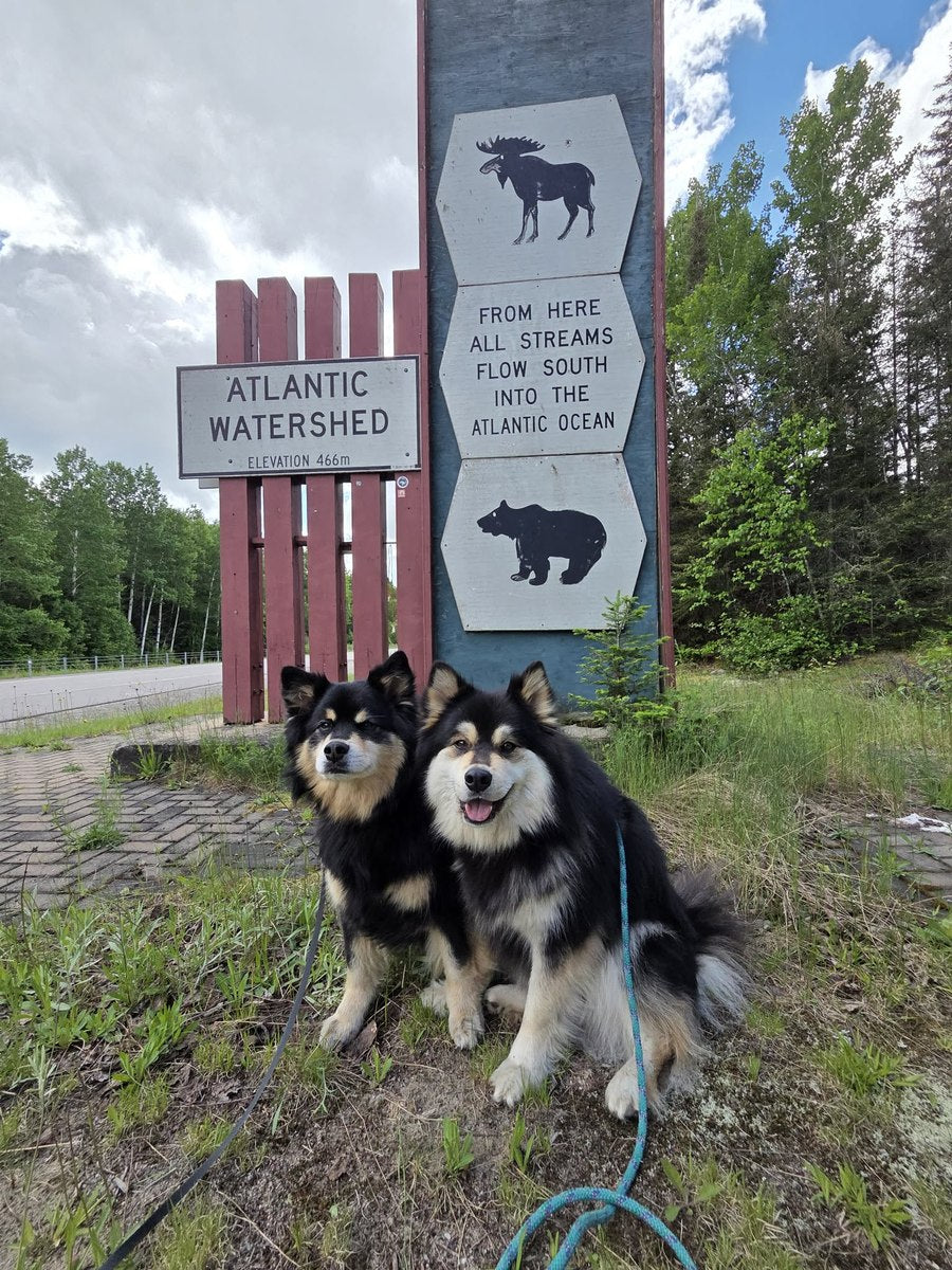 Timber and Tundra sitting below a highway sign reading Atlantic Watershed